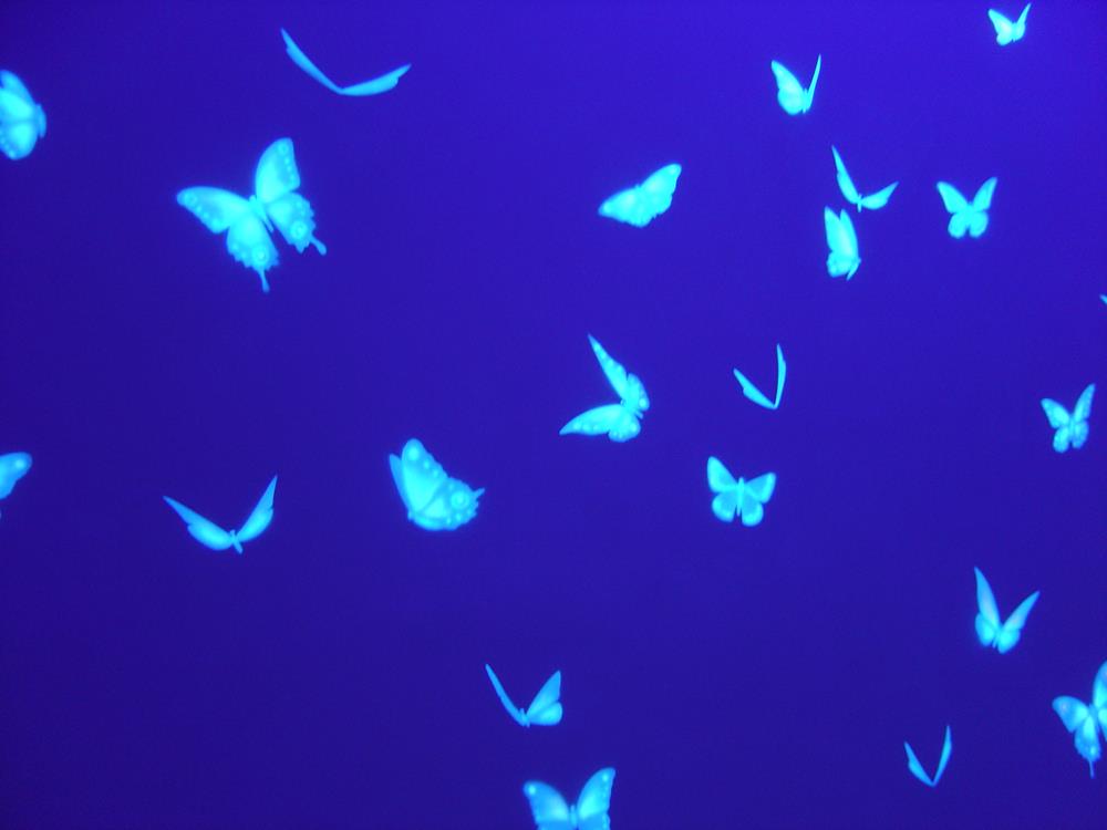 Corridor Casa Colombo detail