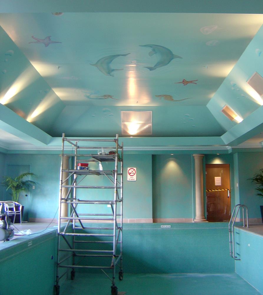 Swimming pool's wall