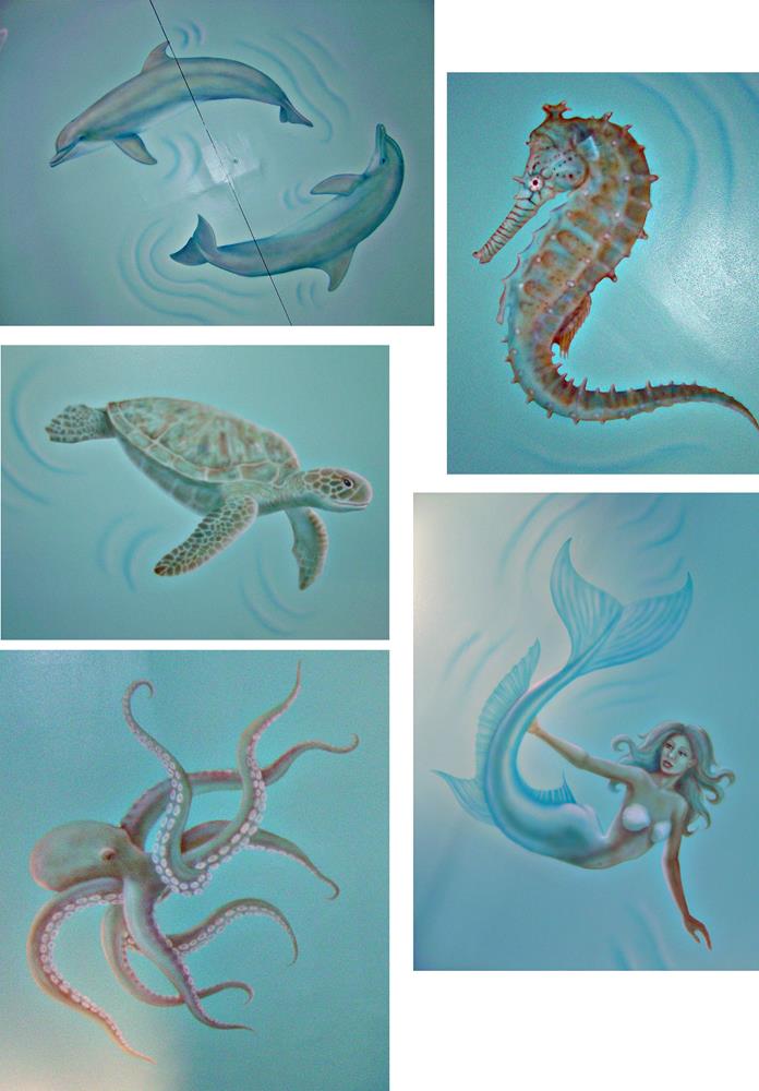 Swimming pool's  wall